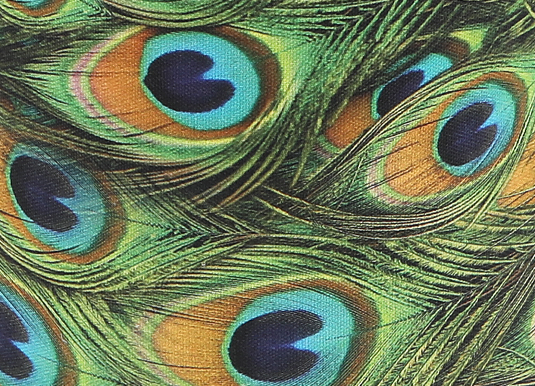 Lampenschirm Velour Pfau