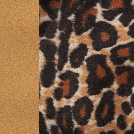Safari